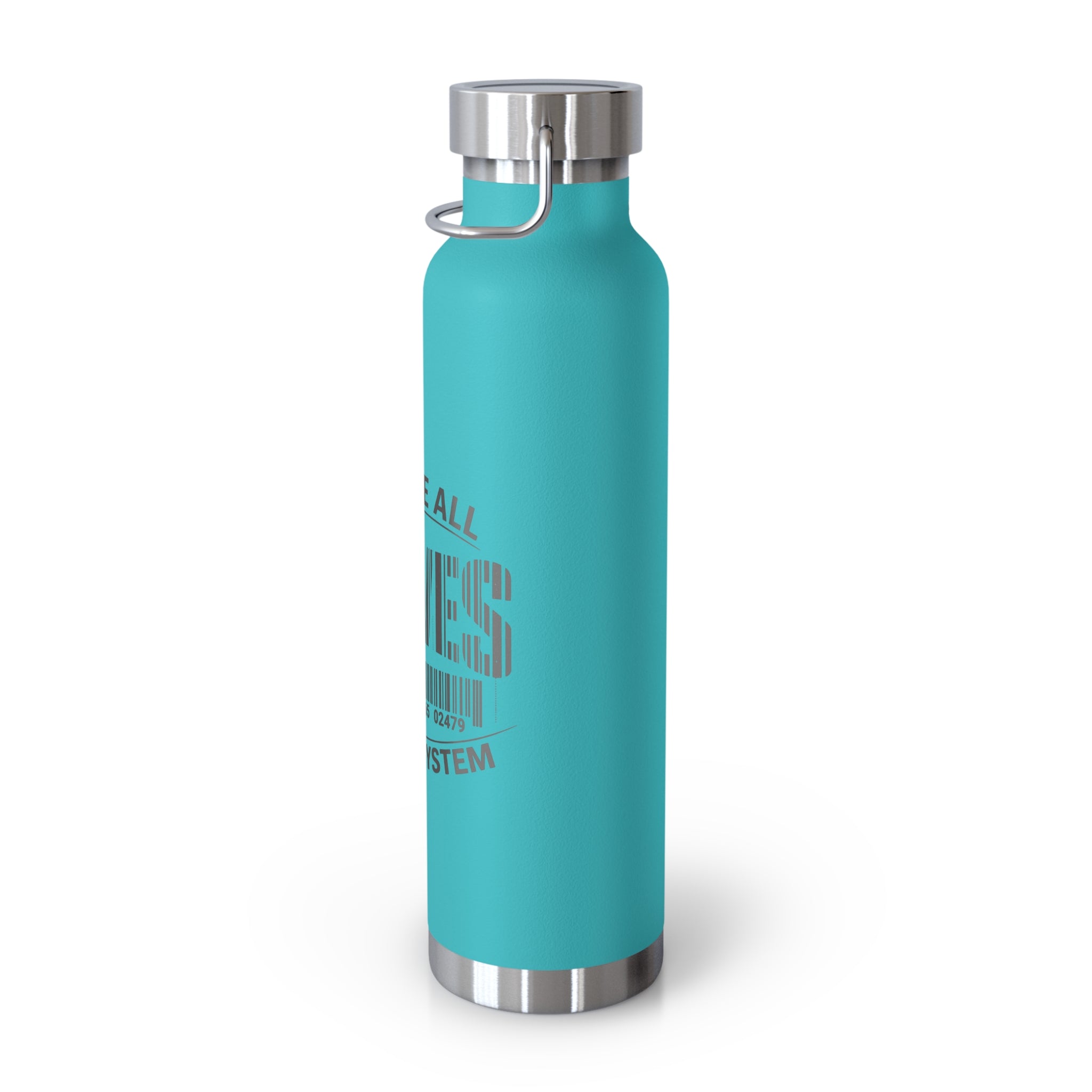 Insulated 22oz Copper Bottle — 'We Are All Slaves to the System' Graphic