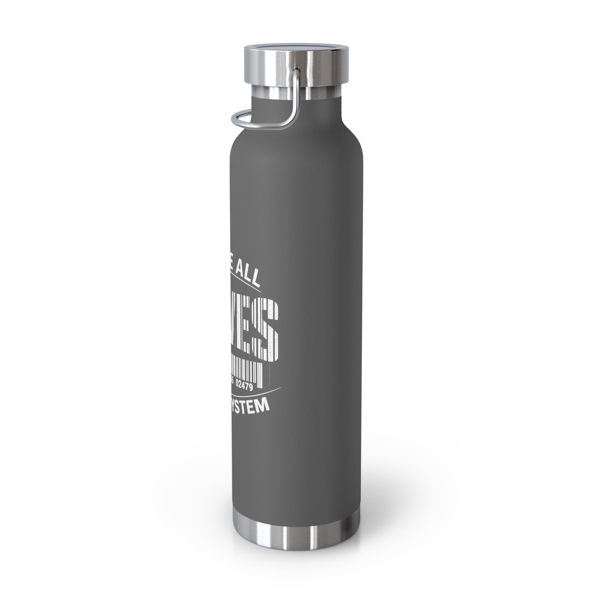 22oz Insulated Bottle — "We Are All Slaves to the System" Red Stainless Vacuum